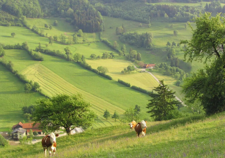 Reise ins Dirndltal