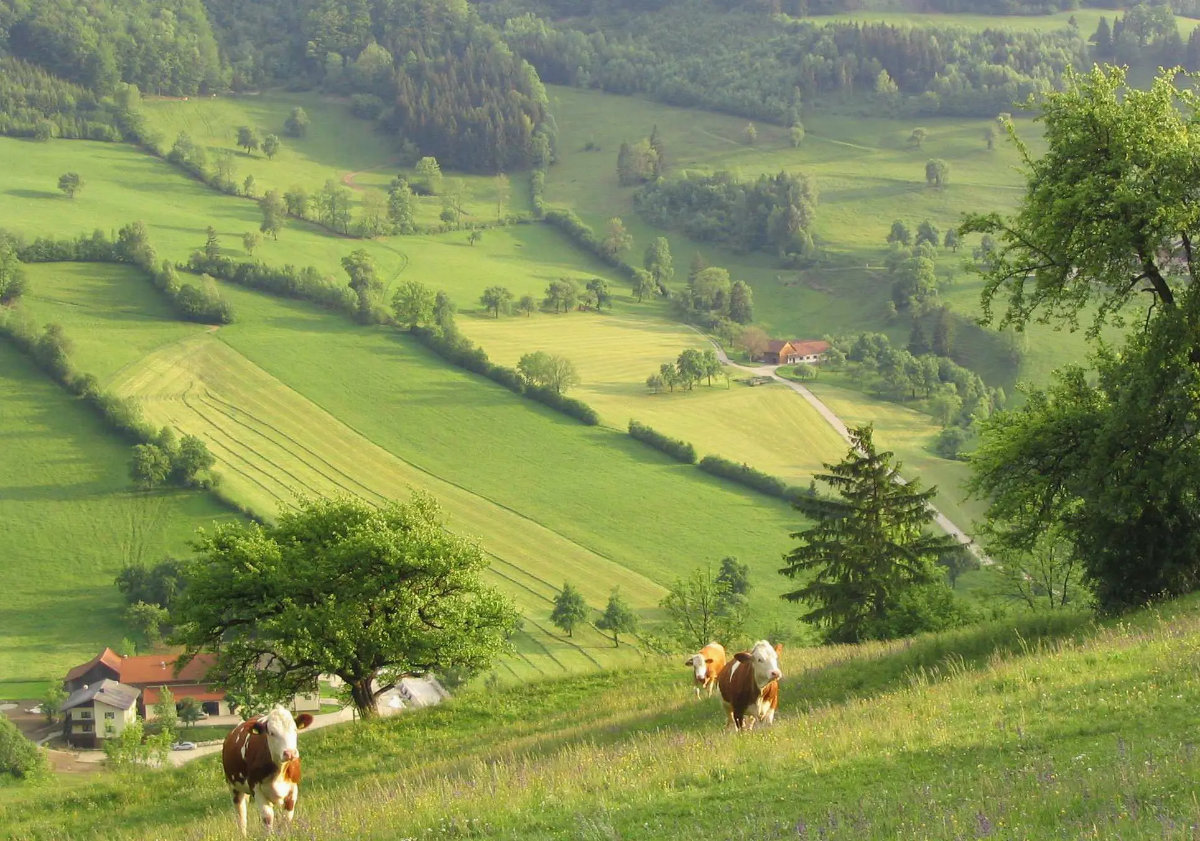 Reise ins Dirndltal